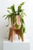 Cork Plant Stand | Plants & Landscape by Capra Designs