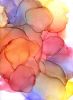 sundrenched glow |  fine art print | Prints in Paintings by Megan S