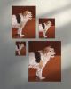 Cozy Dog Cafe Print, Whimsical Dog Painting, Coffee Lover Wall Art | Prints in Paintings by The Ugly Cat Studio