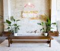 The Continental | Bench in Benches & Ottomans by MODERNCRE8VE. Item composed of walnut