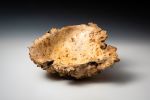 Buckeye Burl Bowl | Decorative Bowl in Decorative Objects by Louis Wallach Designs. Item composed of wood