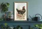 Vintage White Hen Rooster Art, Vintage Chicken Art, Vintage | Prints in Paintings by Capricorn Press. Item composed of paper compatible with boho and minimalism style