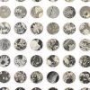 Monochrome Garden | Collage in Paintings by Amelia Coward