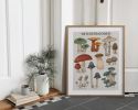 Woodland Mushrooms | Prints by The Ugly Cat Studio