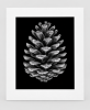 EXPOSED AUTUMN — PINECONE | Decorative Objects by Exposedart