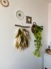 Green hand woven wall hanging tapestry | Wall Hangings by Awesome Knots. Item made of cotton with fiber