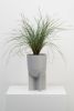 Tall Eros Planter | Vases & Vessels by Capra Designs