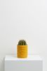 Etch Planter | Vases & Vessels by Capra Designs