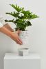 Tri Planter | Vases & Vessels by Capra Designs