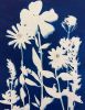 Florist Flowers | Prints in Paintings by Kathy Ferguson Art