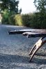 Cantilever Redwood Burl | Coffee Table in Tables by Simon Silver Designs