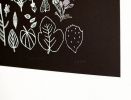 Local Nature Poster | Prints by Leah Duncan. Item composed of paper in mid century modern or contemporary style
