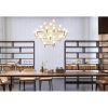 SL0201 Crown Major | Chandeliers by Alan M