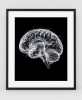 EXPOSED 005 — BRAIN | Decorative Objects by Exposedart