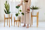 Arcus plant stand | Plants & Landscape by Almon Woodcraft