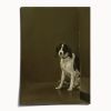 Cane di Milano | Prints by Catherine H