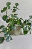 Baskets | Serveware by OSLÉ HOME DECOR. Item made of fabric