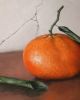 Tangerine | Prints by The Ugly Cat Studio