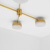 Celeste Aurora | Chandeliers by DESIGN FOR MACHA. Item made of brass & glass