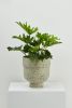 Funnel Planter | Vases & Vessels by Capra Designs