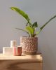 Kolo (Gloopy) Planter - 2 sizes | Vases & Vessels by Misewell