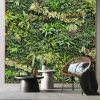 Artificial Plant Wall | Decorative Frame in Decorative Objects by Moss Art Installations