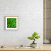 Canopy Glow — Abstract Botanical Photography Print | Photography by Ava Bock Art