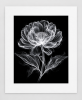EXPOSED 006 — MADONNA LILY | Decorative Objects by Exposedart