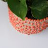 Kolo (Gloopy) Planter - 2 sizes | Vases & Vessels by Misewell