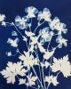 Geranium Rozanne One | Prints in Paintings by Kathy Ferguson Art