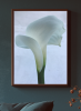 i offer my tender | Photography by Lani Trock. Item made of paper works with minimalism style