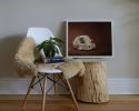 Cranium Felinum | Prints by The Ugly Cat Studio