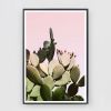 Cactus Print of prickly pear cactus against pink sky | Prints by Capricorn Press. Item composed of paper in boho or minimalism style