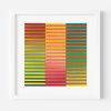Berry Yellow Stripe Colour Study Print | Prints in Paintings by Amelia Coward
