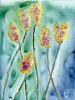 Yellow Star Thistle | Prints by Brazen Edwards Artist. Item composed of canvas and paper