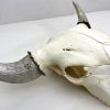 Bison Skull - Natural, Gilded Horns | Wall Sculpture in Wall Hangings by Farmhaus + Co.. Item made of wood