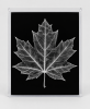 EXPOSED AUTUMN — MAPLE LEAF | Decorative Objects by Exposedart