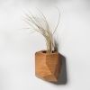 GEORGIA Elm Air Plant Holder | Planter in Vases & Vessels by Untitled_Co