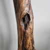 Driftwood Art Sculpture "Battle Tested Bow" | Sculptures by Sculptured By Nature  By John Walker. Item made of wood compatible with minimalism style