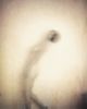Musing #3 | Photography by Louise O'Gorman