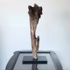 Driftwood Art Sculpture "Flapper" | Sculptures by Sculptured By Nature  By John Walker. Item composed of wood in minimalism style