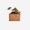 Diamond Self-Watering, Wall-Mounted Planter | Vases & Vessels by Formr. Item composed of wood