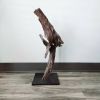 Driftwood Art Sculpture "Stallion" | Sculptures by Sculptured By Nature  By John Walker. Item made of wood works with minimalism style