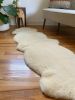 Double Shorn Golden Ivory Sheepskin | Area Rug in Rugs by East Perry. Item made of wool with fiber