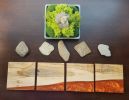 Set of 4 Highly Figured Live Edge Ambrosia Maple Coasters | Tableware by Carlberg Design. Item composed of maple wood in minimalism style