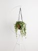 Crescent Plant Stand | Plants & Landscape by Capra Designs