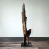 Driftwood Sculpture "Caymen Strait" | Sculptures by Sculptured By Nature  By John Walker. Item made of wood works with minimalism style