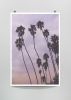 Palm trees against sunset photograph, Minimal photography | Photography by Capricorn Press. Item composed of paper