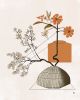 Crockery Ikebana #1 - Modern Botanicals | Prints by Birdsong Prints. Item made of paper