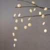 Stellar Lumina String Lights | Lighting by FIG Living. Item made of paper works with modern & rustic style